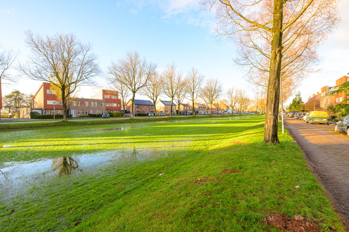 Photo 36 of Brink 23