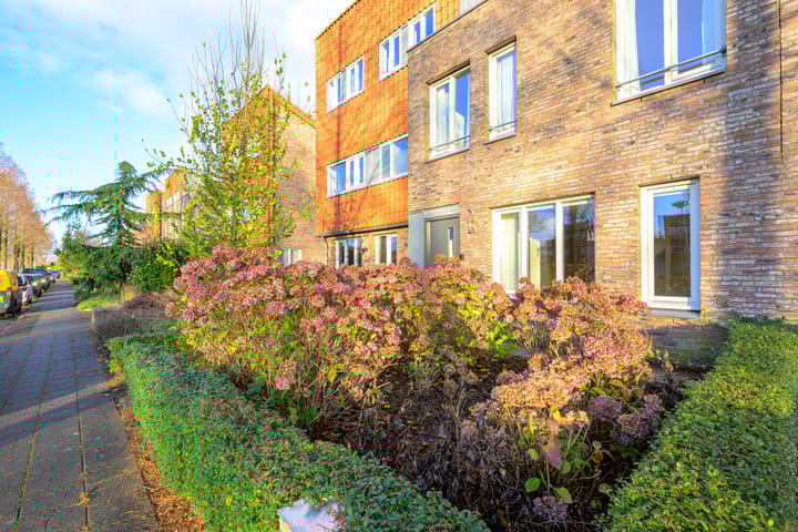 Photo 38 of Brink 23