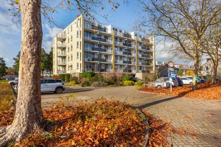 Photo 7 of Vlietpolderstraat 15