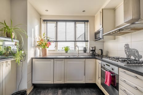 Wede 5 tertiary image