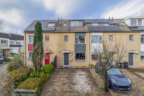 undefined main image