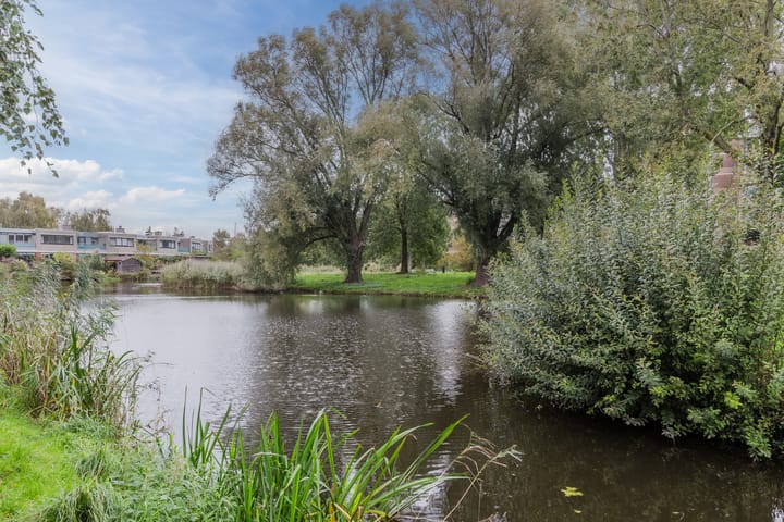 Photo 35 of Burgemeester G.Bosstraat 4