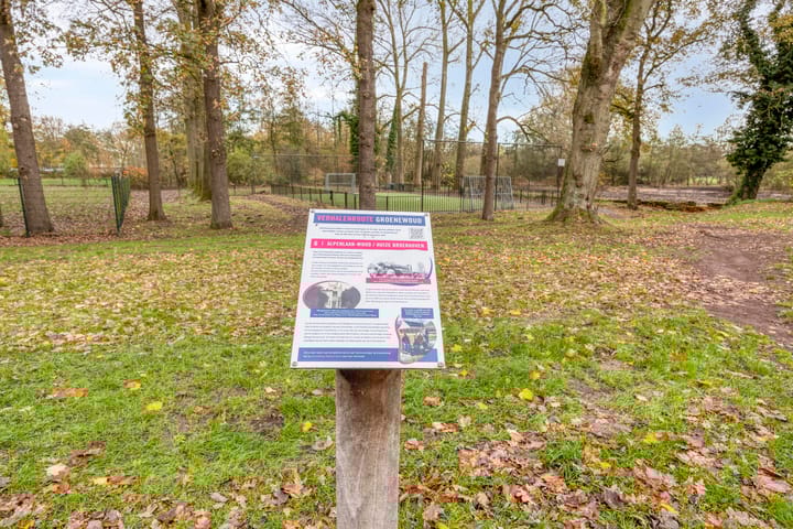 Photo 39 of Alpenlaan 139