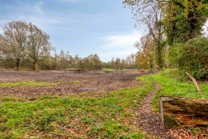 Photo 41 of Alpenlaan 139