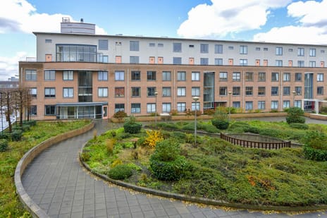 undefined main image