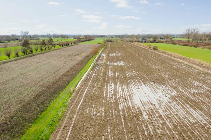 Photo 38 of Westererf 12