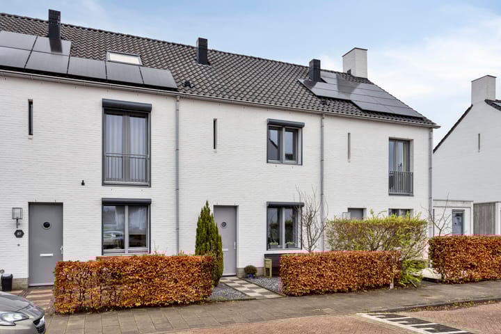 Foto 8 van Brabantse Bellefleur 89