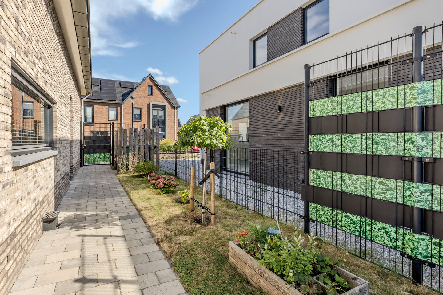 Photo 35 of Spieker 44