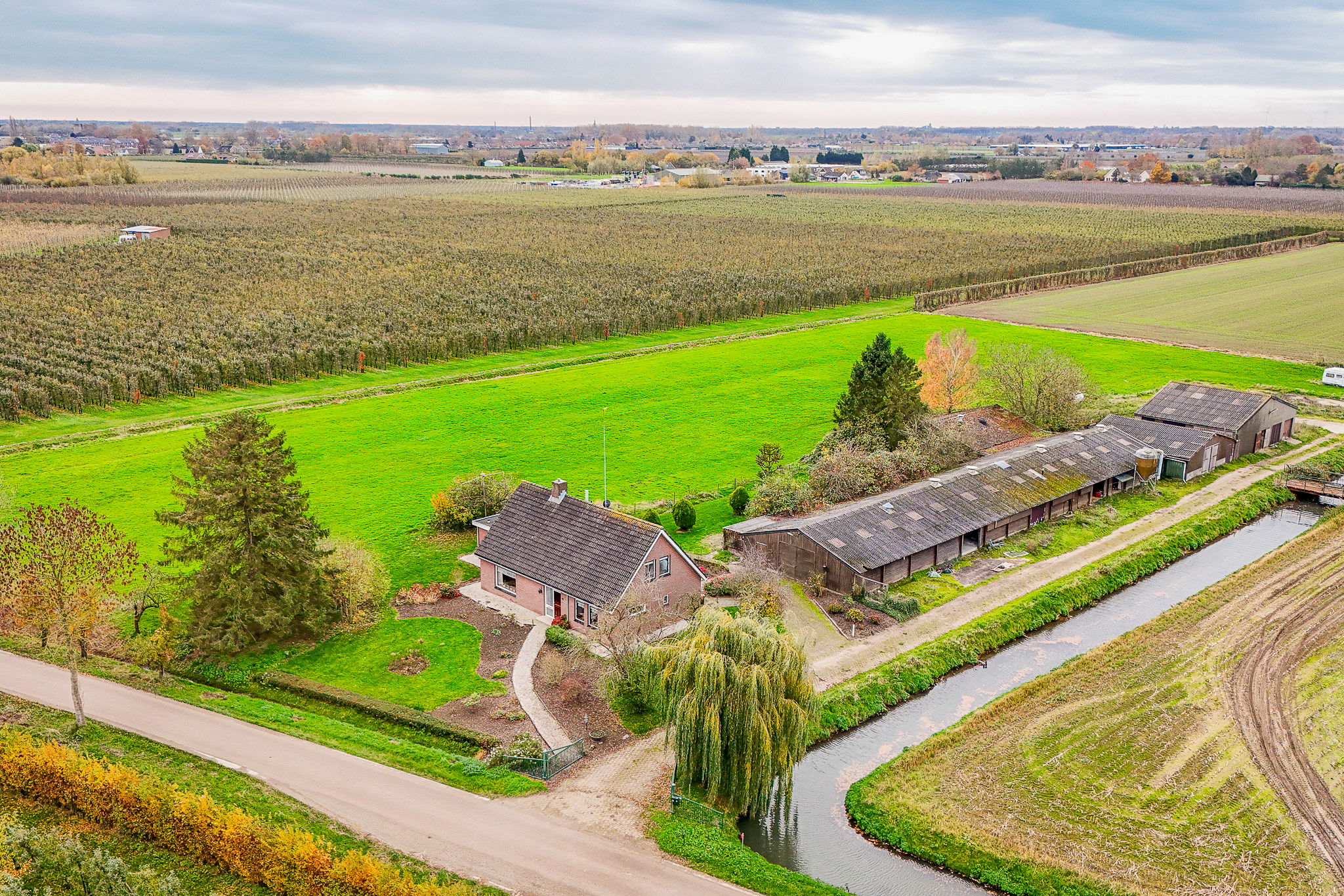 Uilenburgsestraat 31-A 31 a