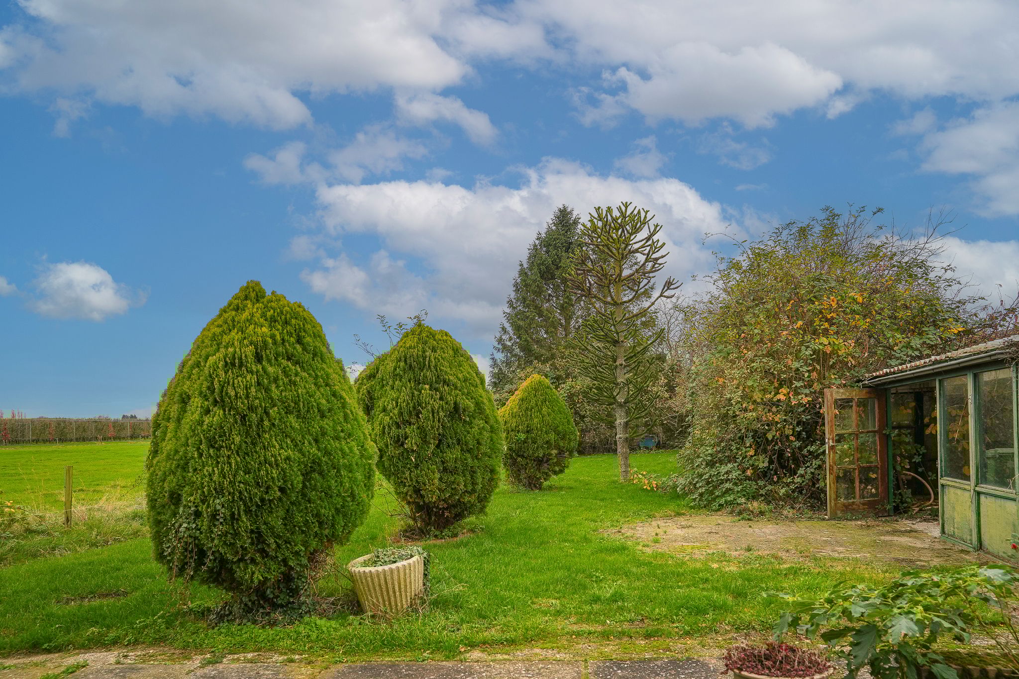 Foto 24 van Uilenburgsestraat 31-A