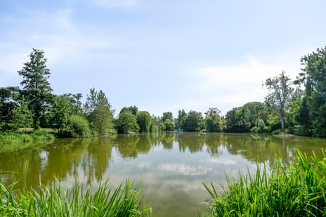 Luytelaer 23 secondary image