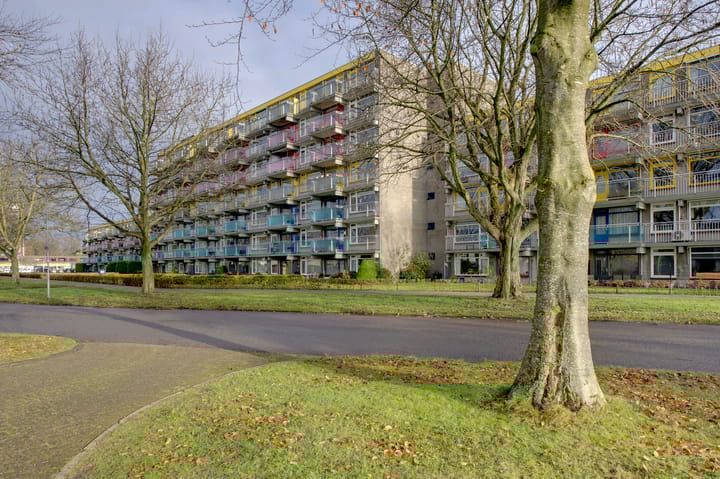 Foto 4 van Melkweg 548