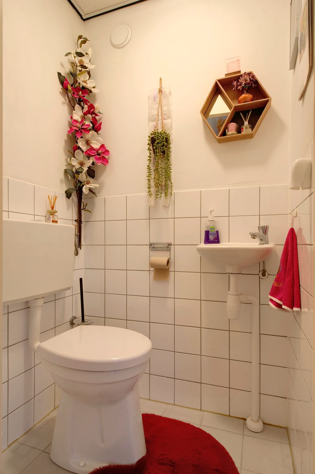 Foto 16 van Melkweg 548