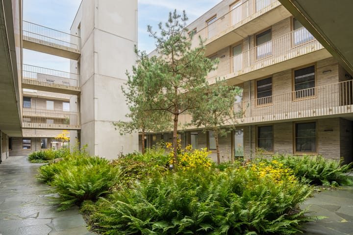 Foto 2 van de Veentjes 37