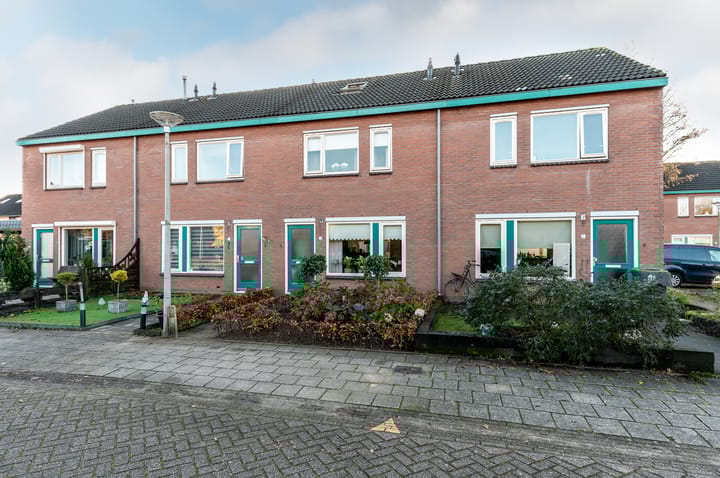 Photo 2 of Ranonkel 5