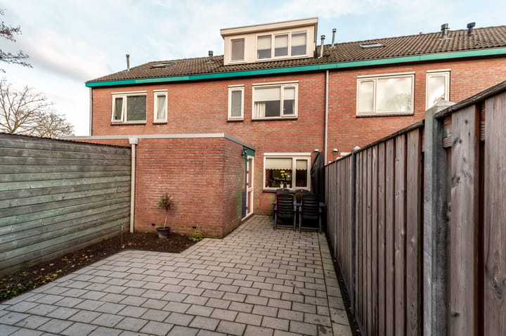 Photo 3 of Ranonkel 5