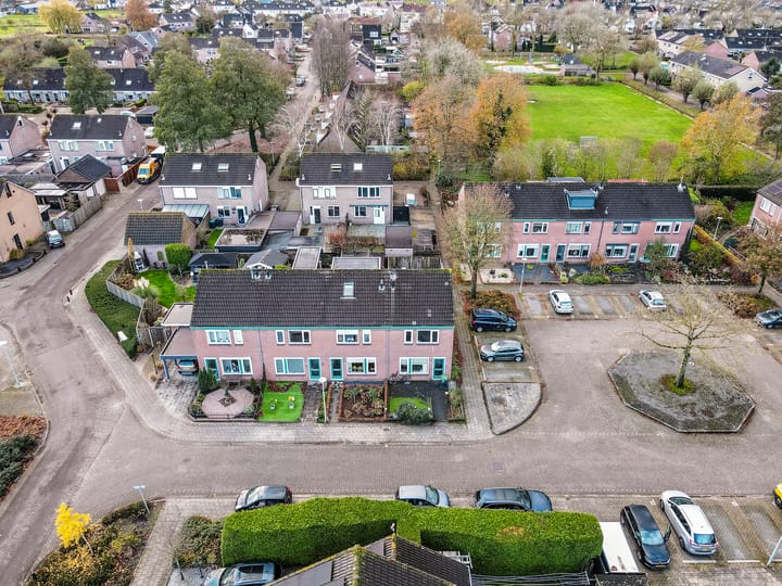 Photo 4 of Ranonkel 5