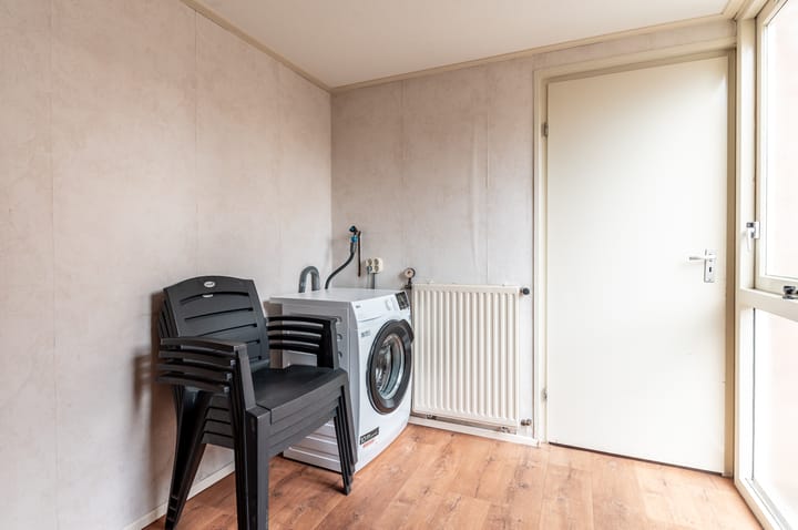 Photo 11 of Ranonkel 5