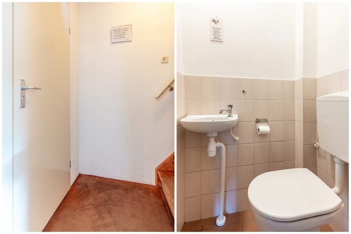 Photo 13 of Ranonkel 5