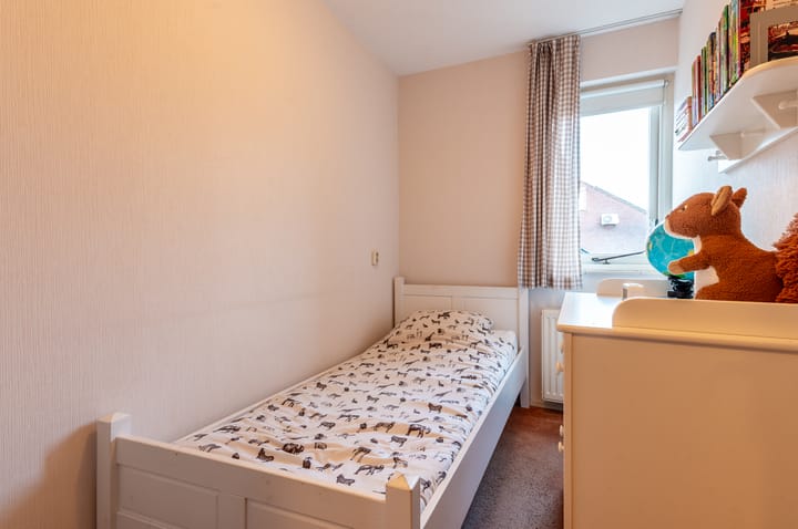 Photo 16 of Ranonkel 5