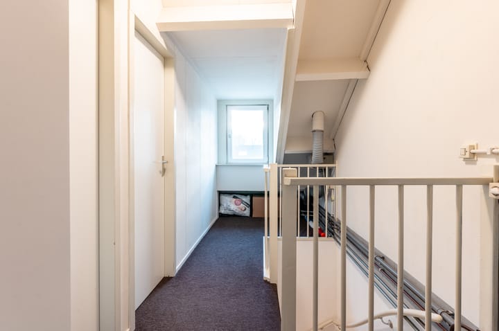 Photo 19 of Ranonkel 5