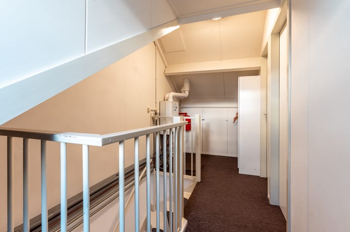 Photo 20 of Ranonkel 5