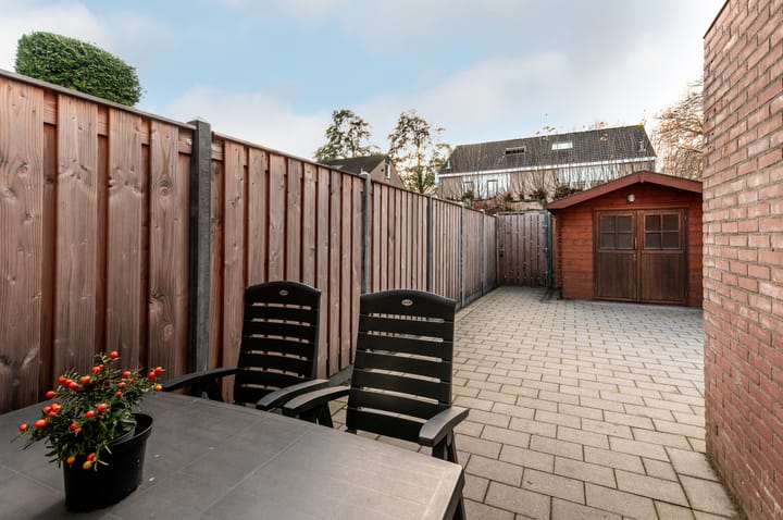 Photo 24 of Ranonkel 5