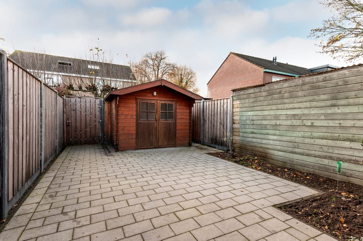 Photo 25 of Ranonkel 5