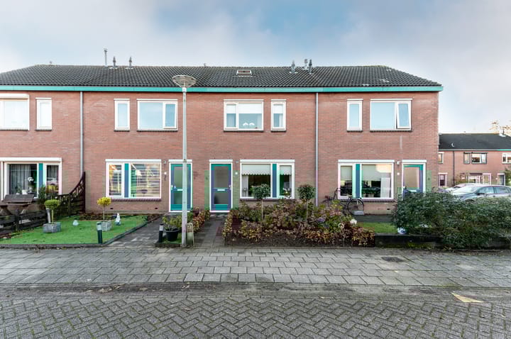 Photo 26 of Ranonkel 5