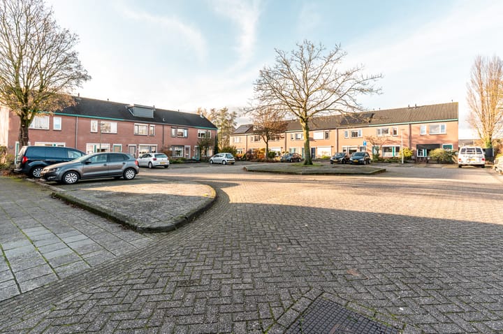 Photo 28 of Ranonkel 5