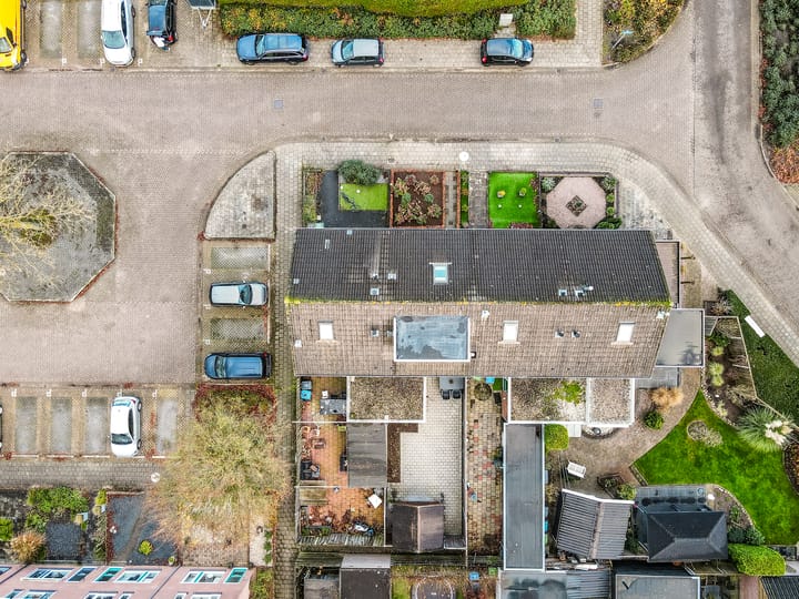 Photo 29 of Ranonkel 5