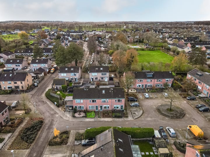 Photo 30 of Ranonkel 5