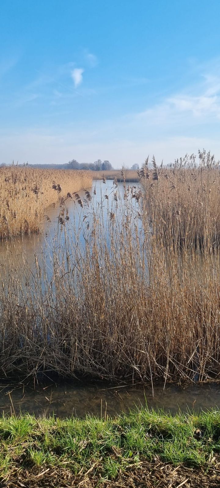 Photo 48 of Hoensbroekstraat 9