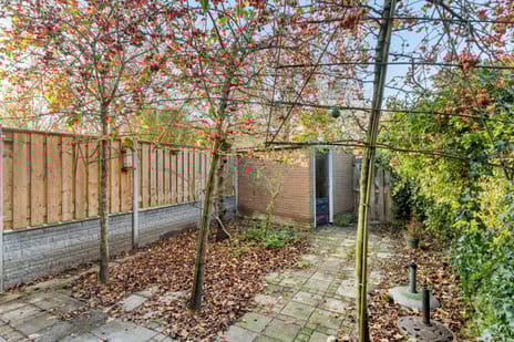 Noorddonk 3 tertiary image