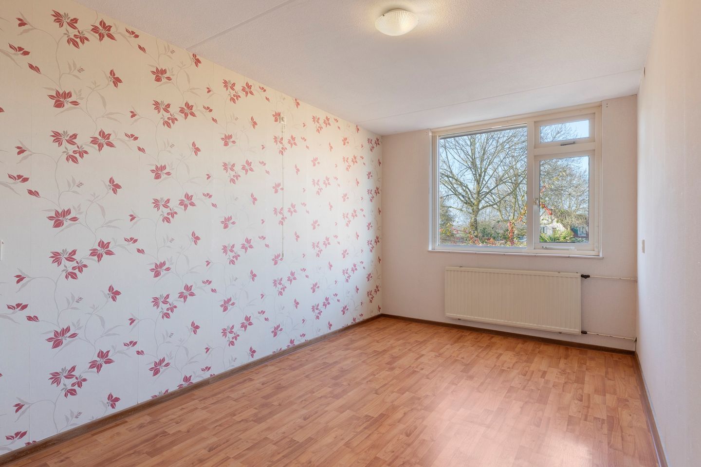 Photo 14 of Noorddonk 3