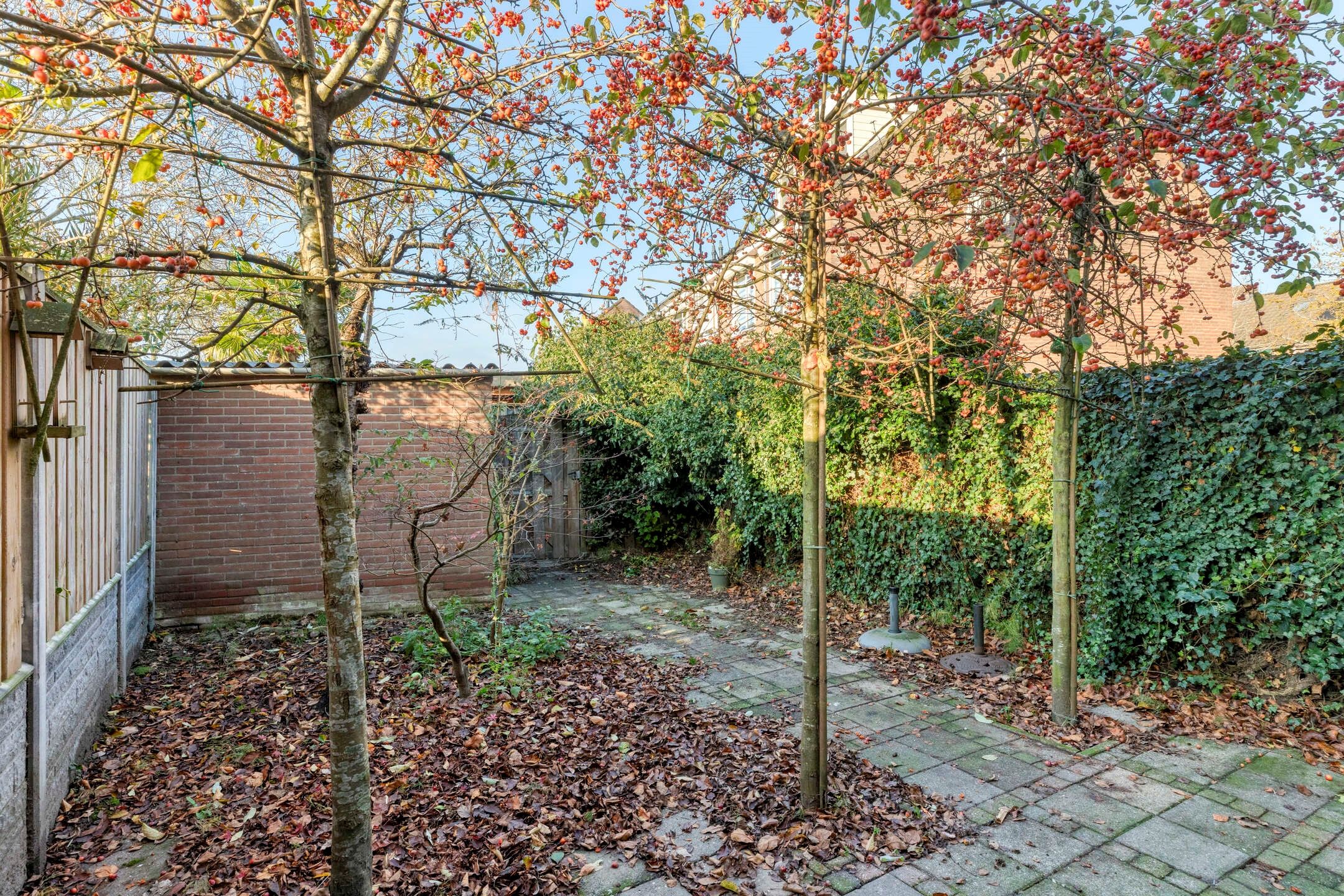 Photo 27 of Noorddonk 3