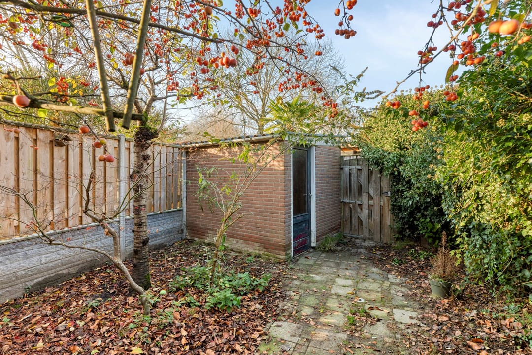 Photo 28 of Noorddonk 3