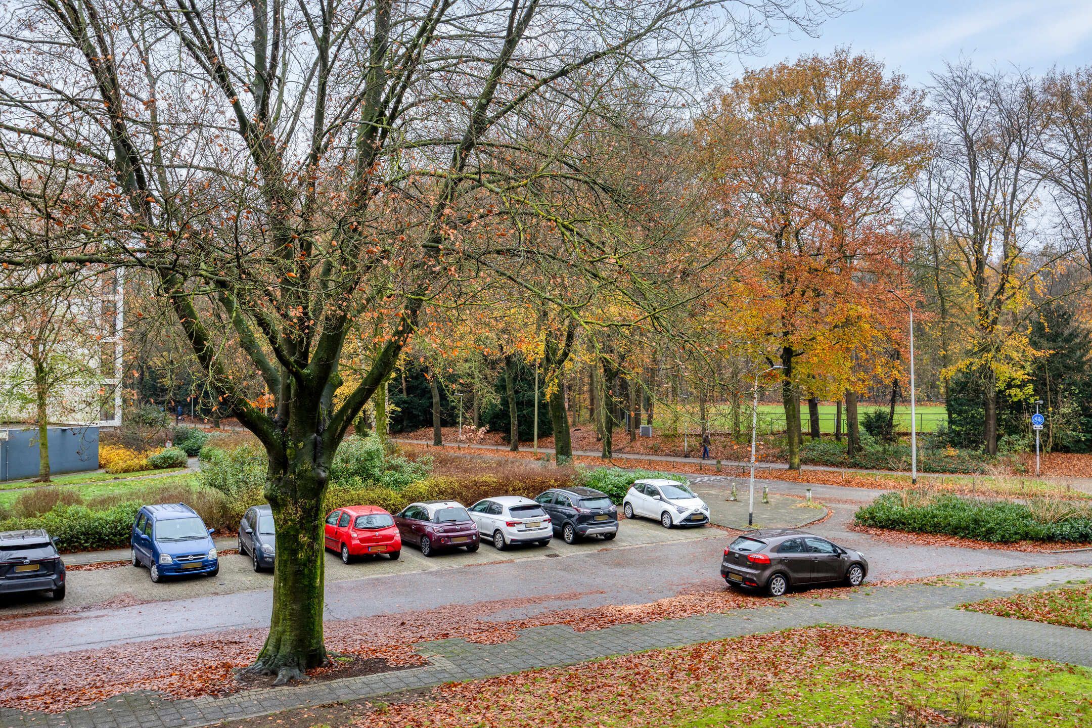 Foto 36 van Rentmeesterlaan 4