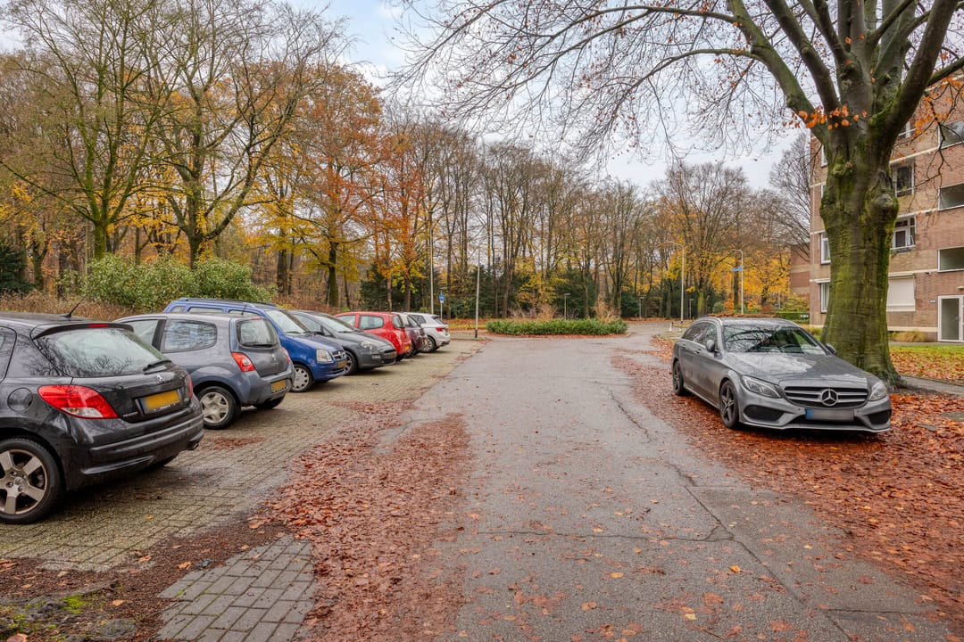 Foto 43 van Rentmeesterlaan 4