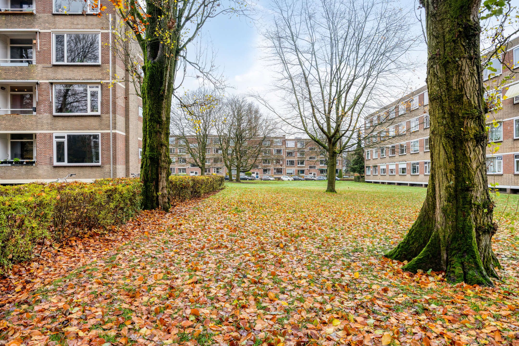 Foto 45 van Rentmeesterlaan 4