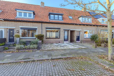 undefined main image