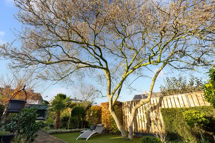 Foto 24 van Veldstraat 15