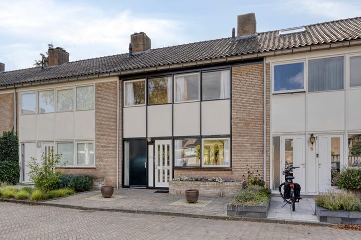 Foto 6 van Meester De Wolfplein 6