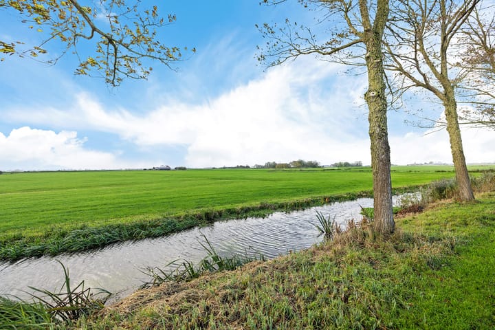 Photo 49 of Moarrawei 5