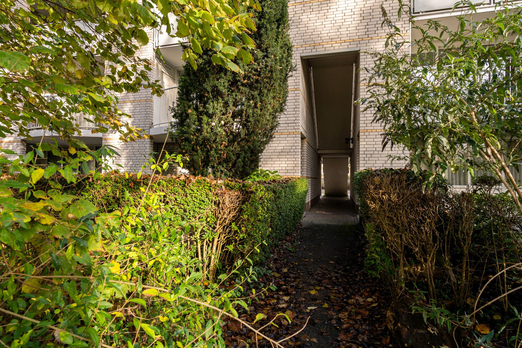 Foto 9 van Vuurdoornpark 14