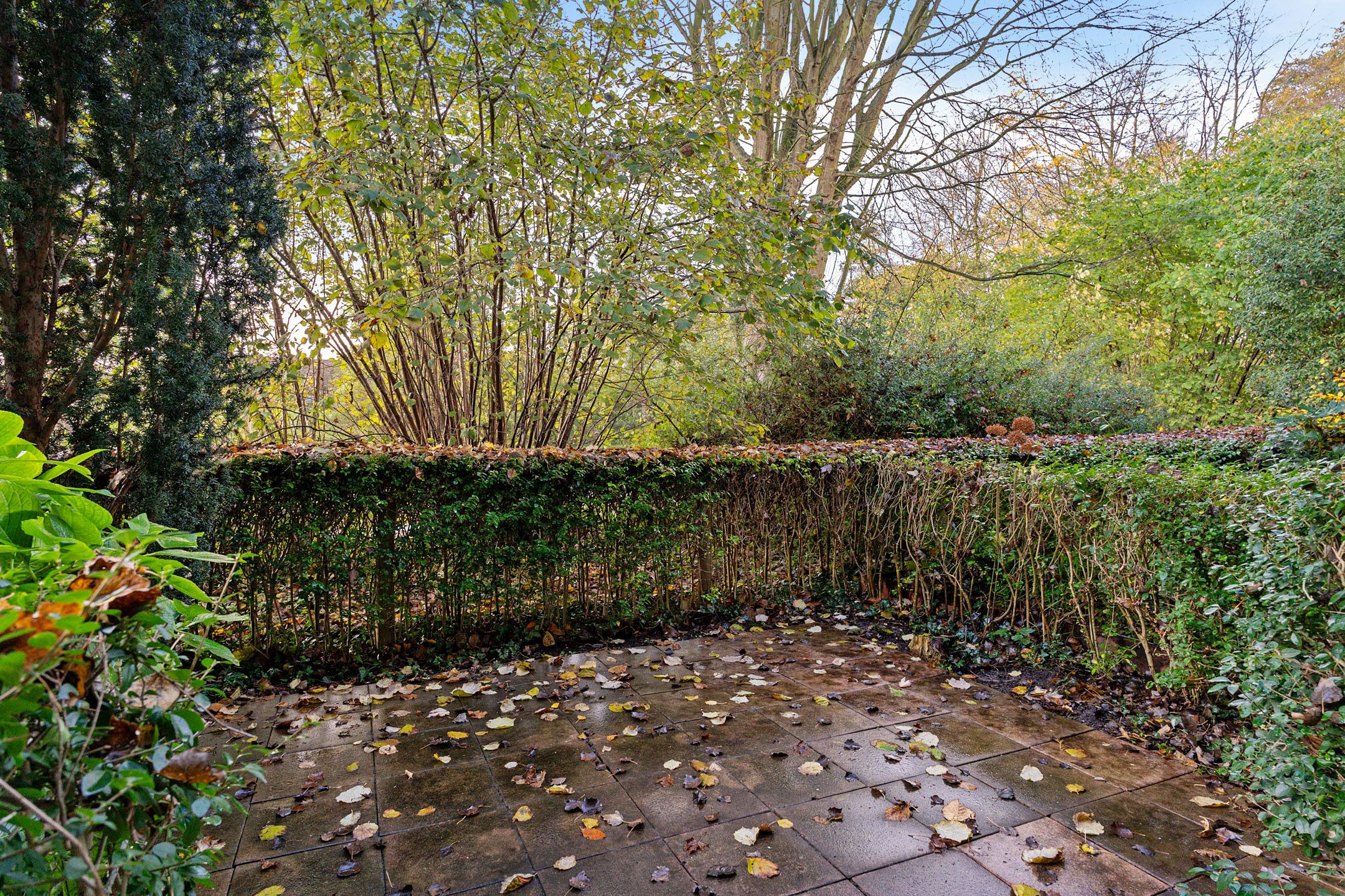 Foto 12 van Vuurdoornpark 14