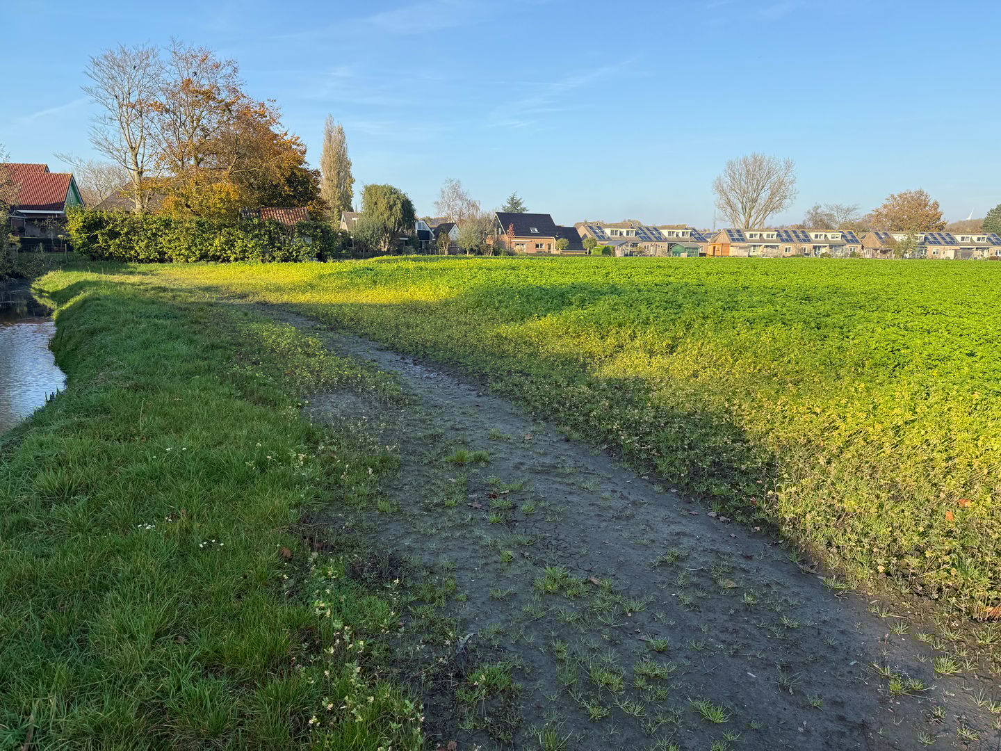 Bekijk foto 5 van Zuideinde