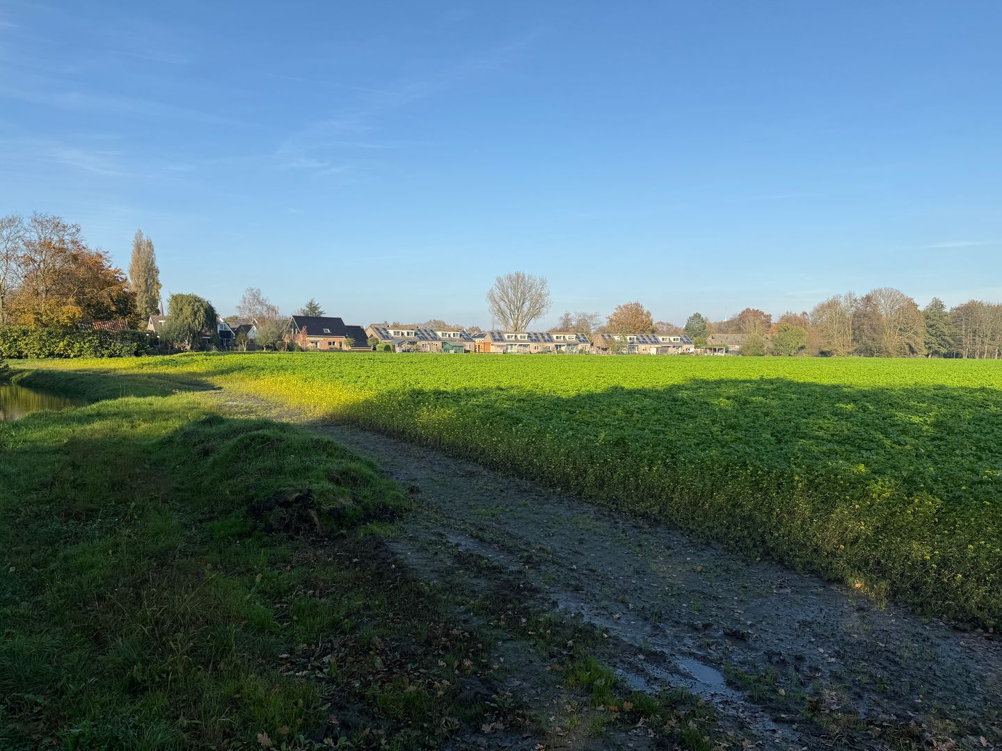 Bekijk foto 4 van Zuideinde