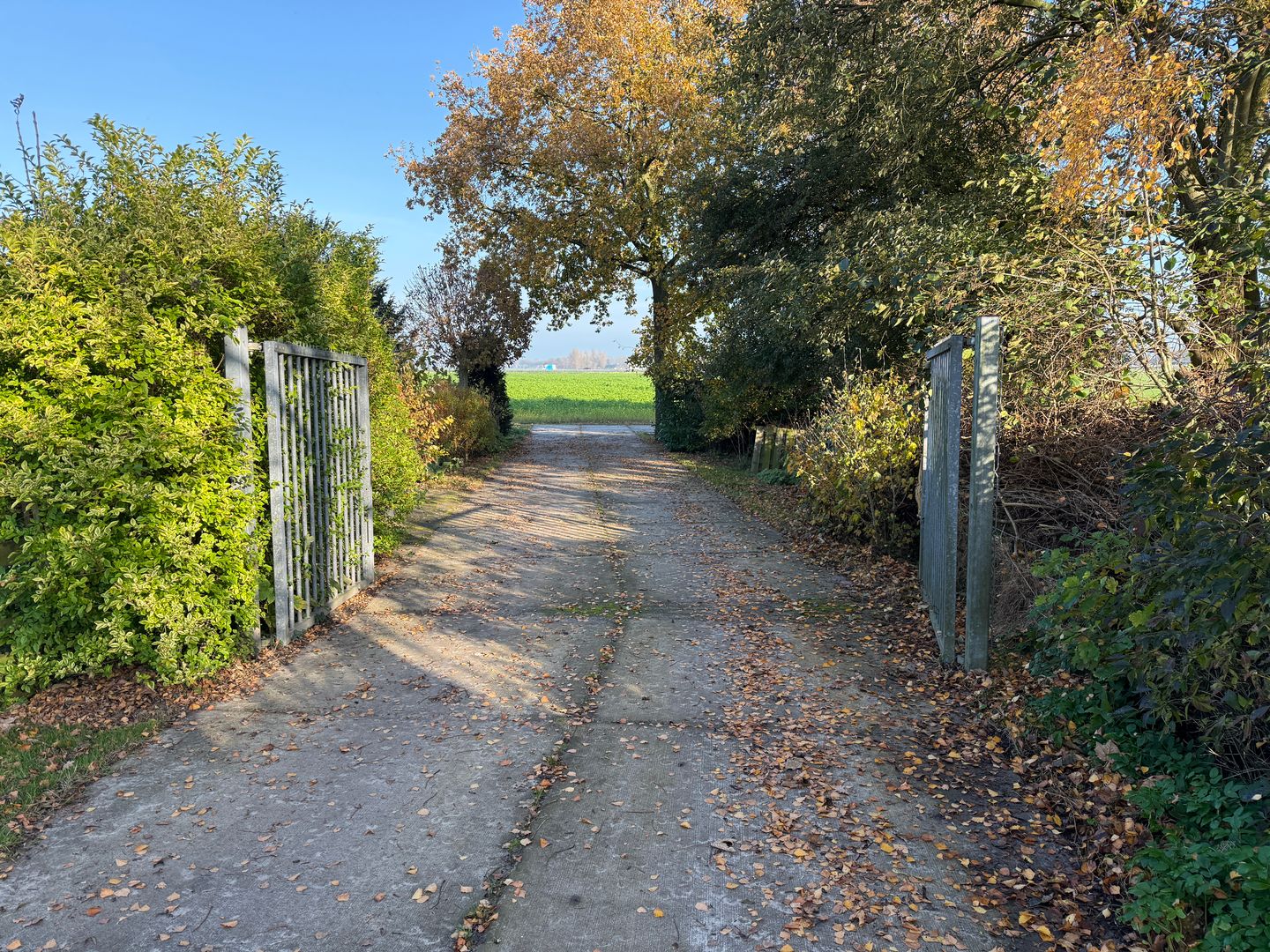 Bekijk foto 3 van Zuideinde