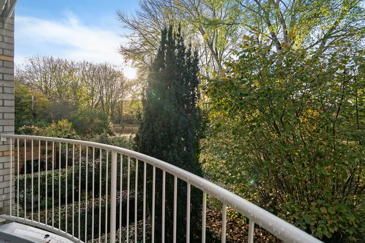 Foto 29 van Vuurdoornpark 14